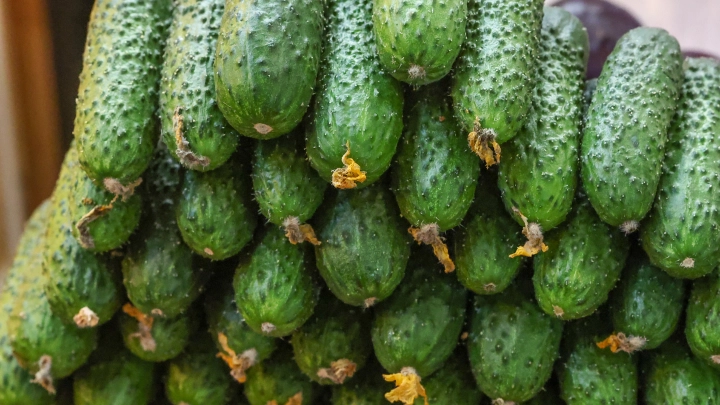 Очищает сосуды и кровь: Какие пять продуктов должны быть на столе, объяснил врач Очищает сосуды и кровь: Какие пять продуктов должны быть на столе, объяснил врач