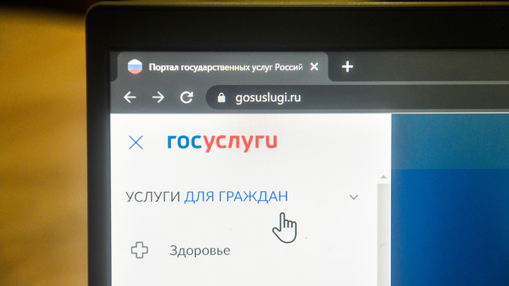 Шестеро мигрантов стали жителями Ленобласти после взлома “Госуслуг”