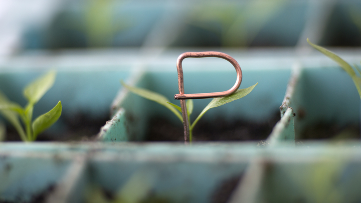 Администрация Запорожской области подвела промежуточные итоги перезапуска экономики