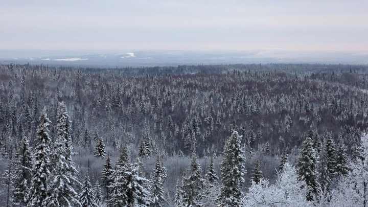 “Не скрывал своей радости”: сын Усольцевой ведёт себя странно после пропажи семьи