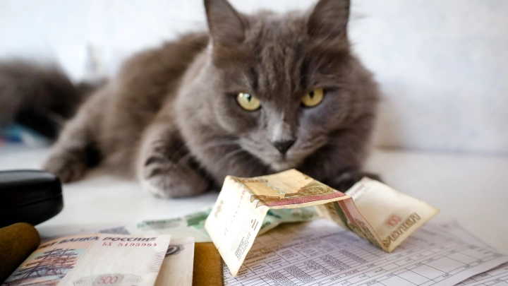 Коммунальные услуги в 2026 году: где подорожание будет максимальным