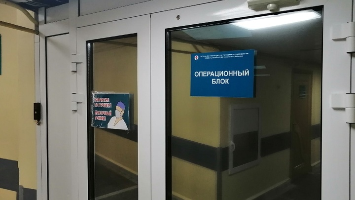 В Челябинской области девочка после нападения стаи собак попала в реанимацию