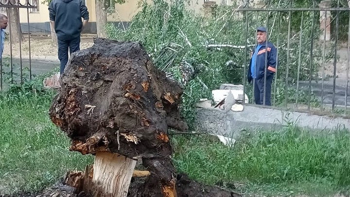 Штормовой ветер повалил несколько деревьев в Новосибирске
