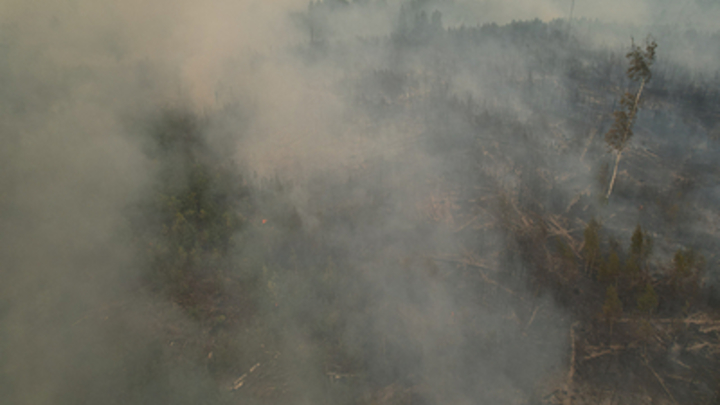 Горит целая страна. Запад снова вспомнит о главном богатстве России