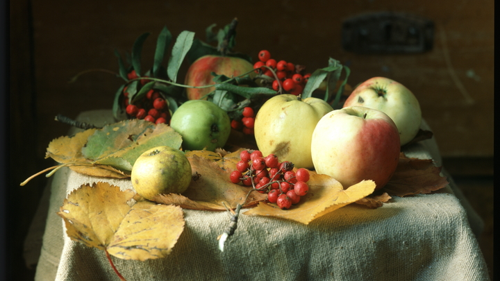 Народные приметы на 24 сентября: что можно и нельзя делать в Федорин день