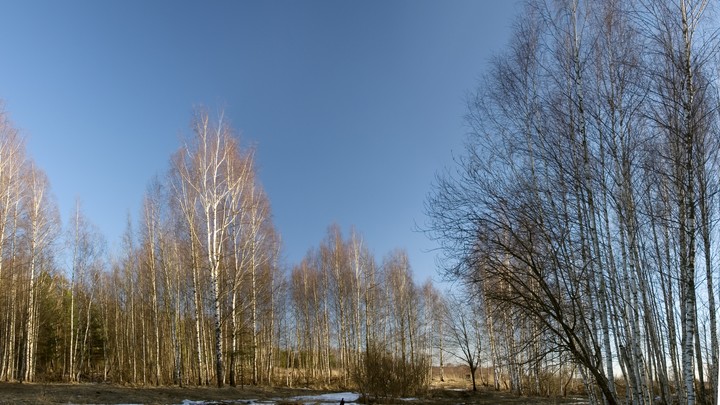 Где же тепло? Вильфанд расстроил прогнозом: Весна только на календаре