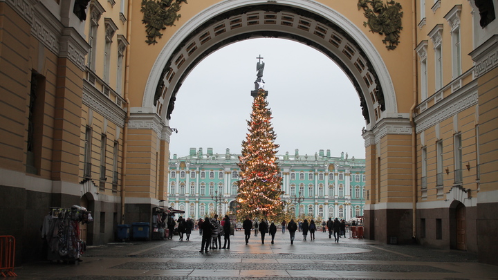 Живая или искусственная? В Петербурге выбирают новогоднюю ёлку для Дворцовой площади