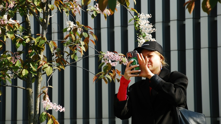 Развить способность видеть этот мир. Фотограф поделилась советами с новичками