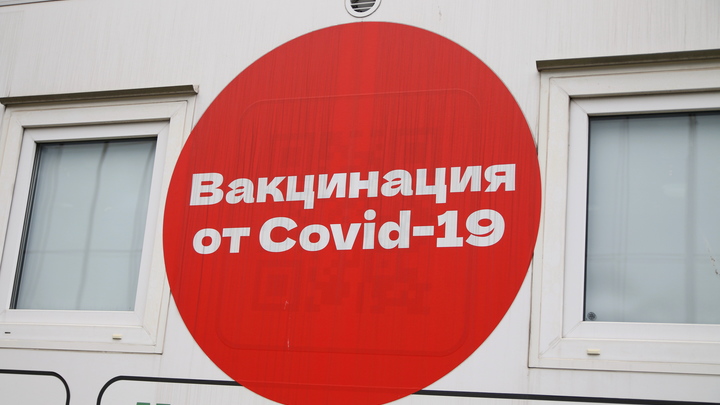 В Ивановскую область пришла небольшая партия вакцины Спутник против новых штаммов коронавируса
