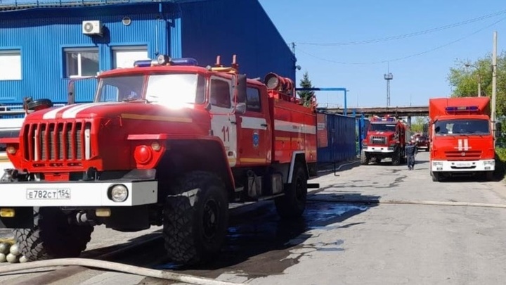 В парке Сосновый бор в Новосибирске загорелась изоляция на теплотрассе