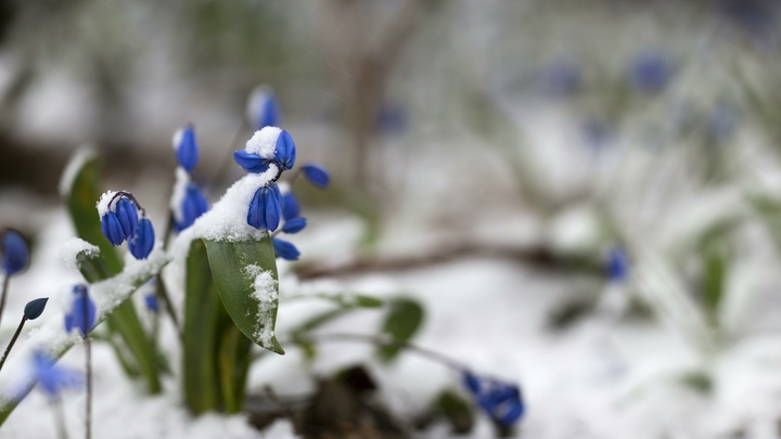 Плюсовая погода и сильный ветер ожидаются в Нижегородской области 15 марта