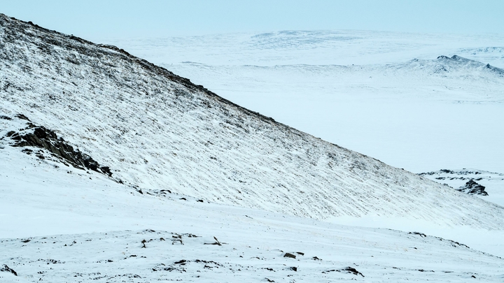 От ожогов до рака кожи: Учёные предупредили об опасности из-за разрушения озонового слоя в Арктике