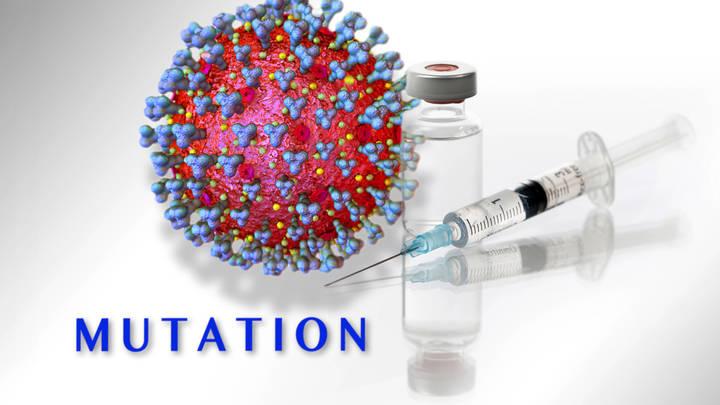В ЮАР обнаружили новый опасный коронавирус: комментарий биолога