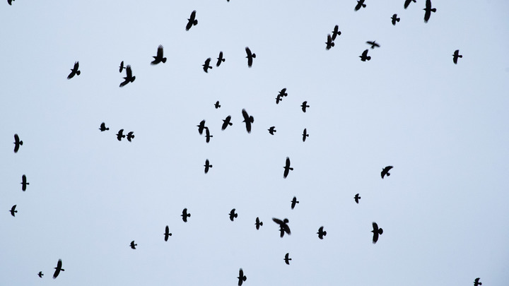 Странное видео очевидцев: над Киевом зависла воронка проклятия