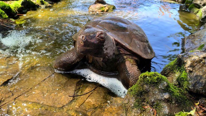 В зоопарке Самары отметят праздник. Какой именно и когда
