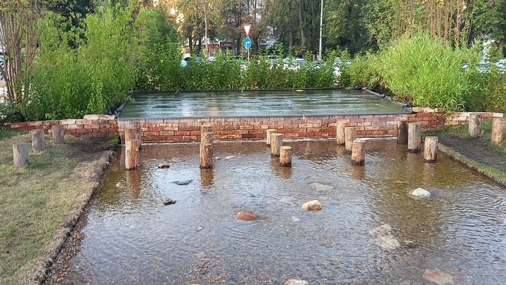 Екатеринбуржцы завели моду высаживать цветы с клумб на своих дачах