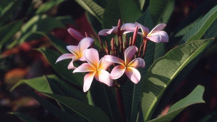 Прогноз погоды на воскресенье, 10 апреля 2022, в Краснодаре: В город пришла жара