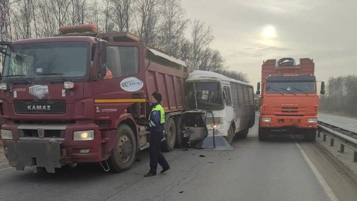 В ДТП с автобусом в Петушинском районе пострадали 15 человек