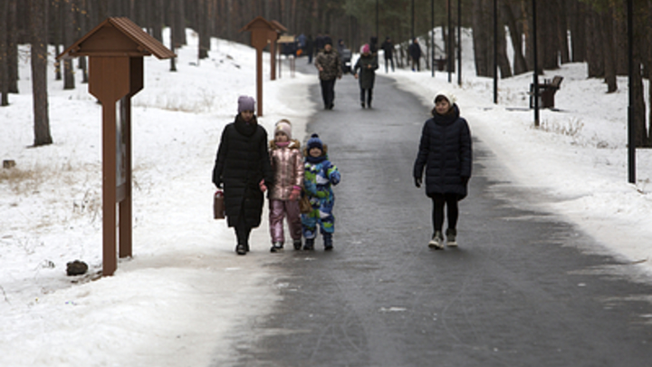 В Заельцовском бору запретили строить церковь, гостиницу и СТО для грузовиков