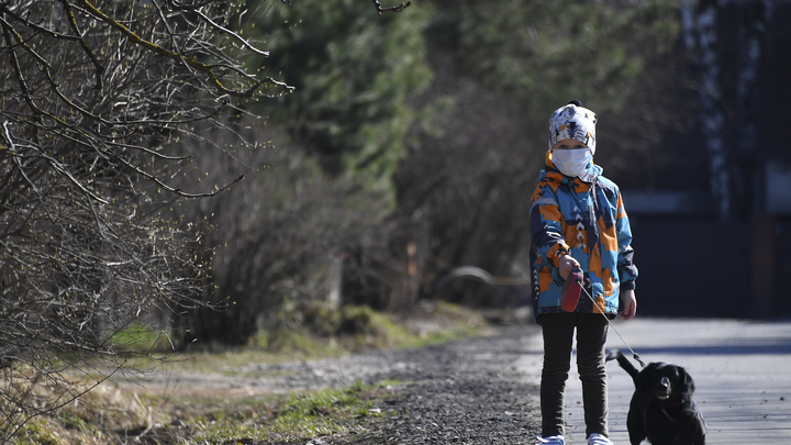 Коронавирус на Кубани на 22 декабря: в Анапе школу закрыли на карантин из-за COVID-19