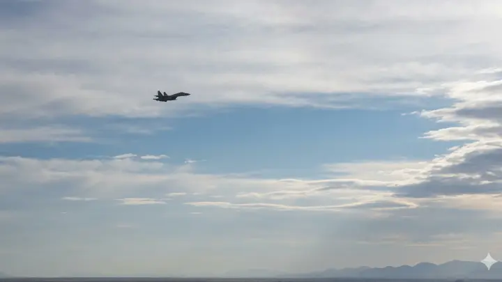 Генерал Липовой назвал поставки авиации Украине из Европы летающие гробы