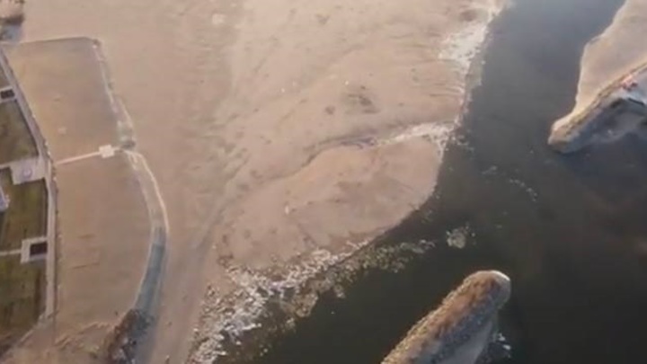 У экологов есть ответ почему рыба снова гибнет у берегов Тольятти