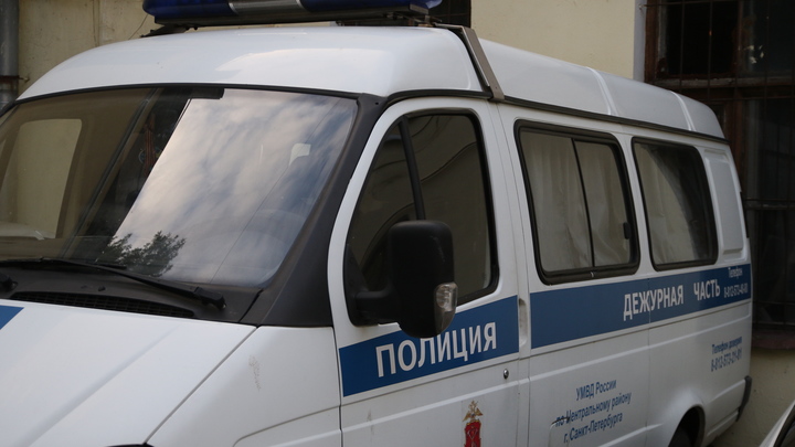 Полиция Ленобласти ищет поджигателей “Магнита” под Гатчиной