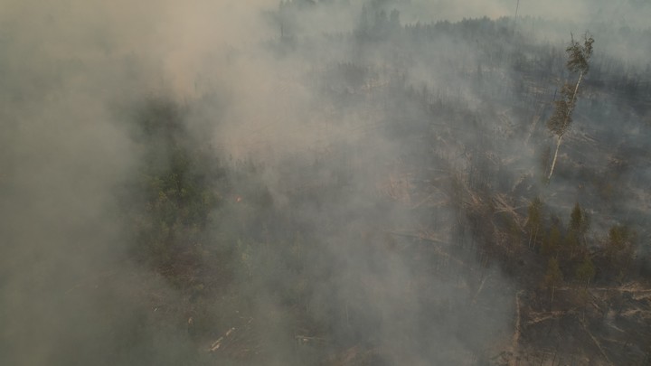 В Краснодаре расселся смог. Причина задымления так и осталась неизвестна