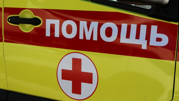 Двоих детей в Московской области увезли на скорой после укуса змеи: Напала во дворе дома