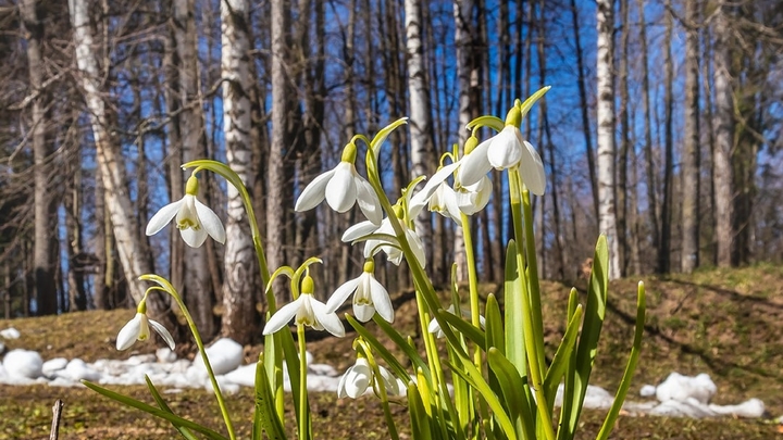 Пасха в Мураново: Усадьба Баратынских и Тютчевых ждёт гостей