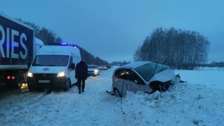 62-летний водитель погиб в тройном ДТП с грузовиком под Новосибирском