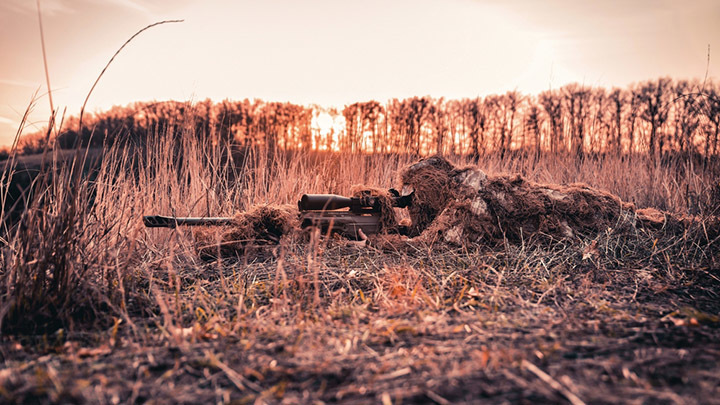 Сибирские пули для Сталинграда: Что известно о новой снайперской винтовке