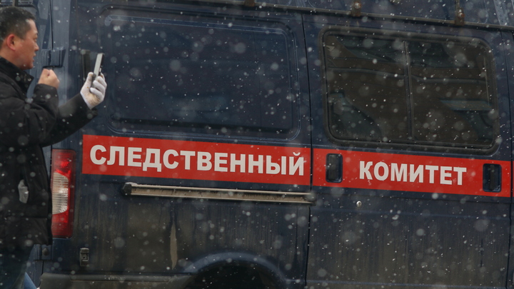 В Следственном комитете раскрыли результаты вскрытия погибшей в Первоуральске девочки