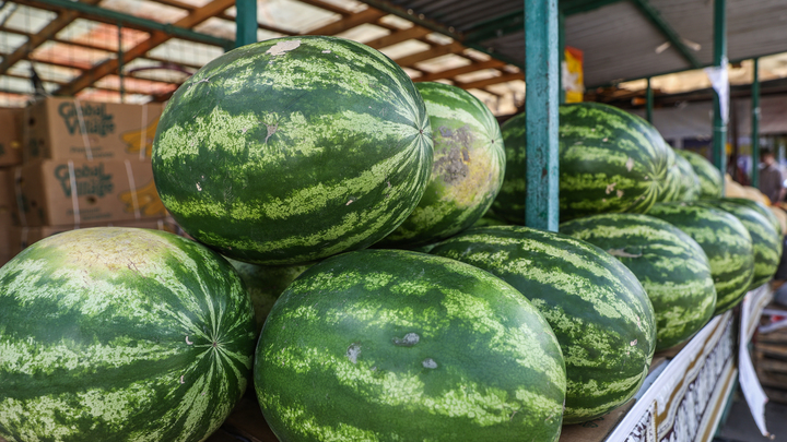 Как выбрать вкусный сладкий арбуз в августе