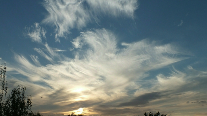 JHP: даже небольшая прогулка под утренним солнцем улучшает сон