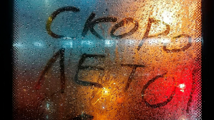 Что сажать на рассаду в феврале – советы специалистов