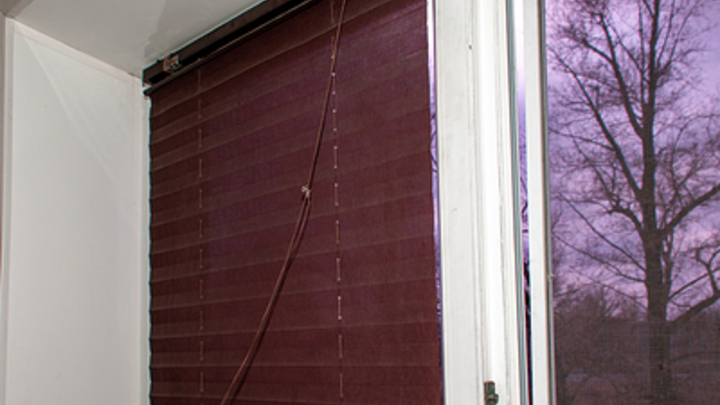 В России сообщили о двух случаях заражения лихорадкой Западного Нила: виной тому комары