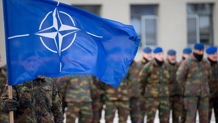 После закрытия границ для русских Эстония начала готовиться к войне