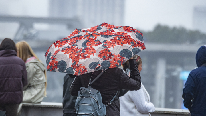 Юрий Подоляка обещал России большую чистку