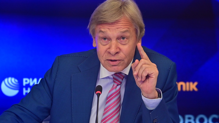 Пушков призвал следить за премьером, запасающей консервы из-за страха «атаки» России