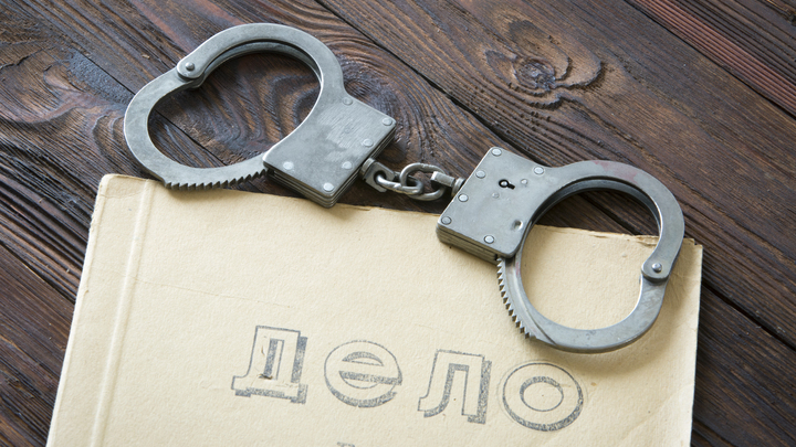 Обвиняемая в хищении бывший зампред Прикамья намекнула на беременность перед приговором