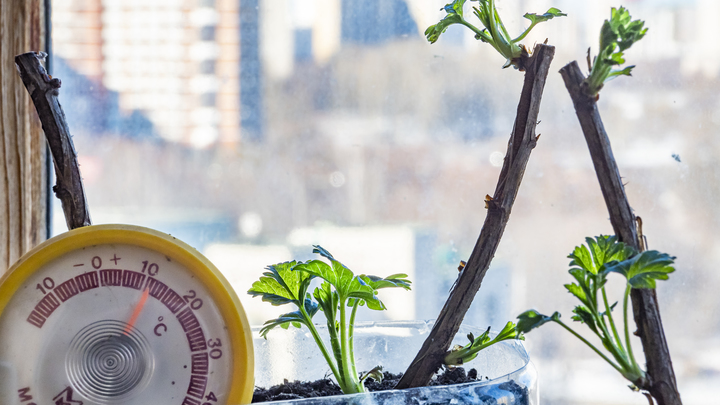 Синоптики рассказали, какой будет погода на Кубани в выходные