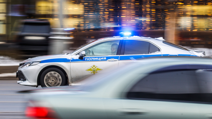 В Москве мужчина организовал кражу грузовика с рыбой и заработал уголовное дело