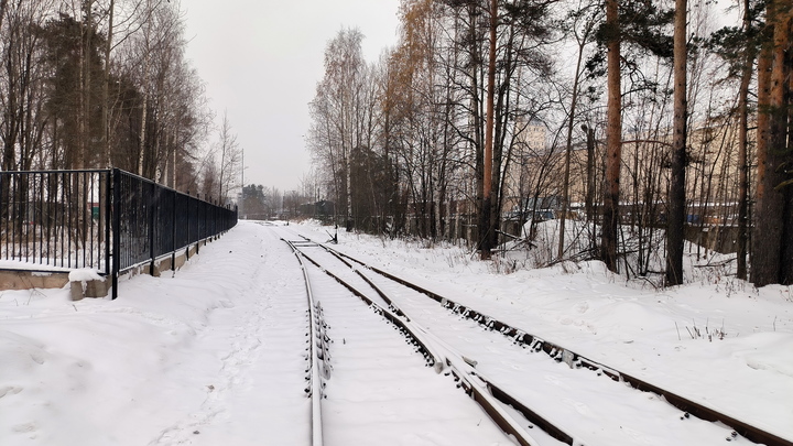 Ж/д сеть расширяется: в Петербурге и Ленобласти запустят новые пригородные маршруты