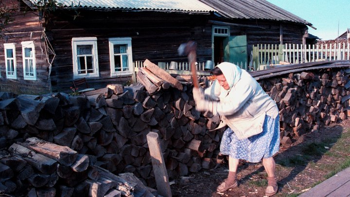 Новый закон о штрафе за дрова рассмешил украинцев