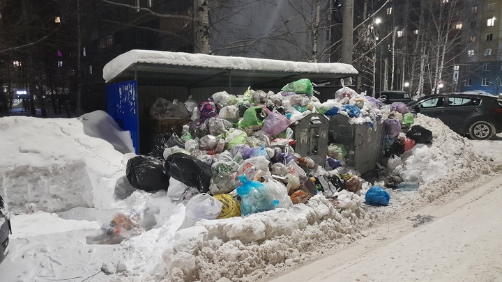 ИИ будет следить за мусором в Нижнем Новгороде