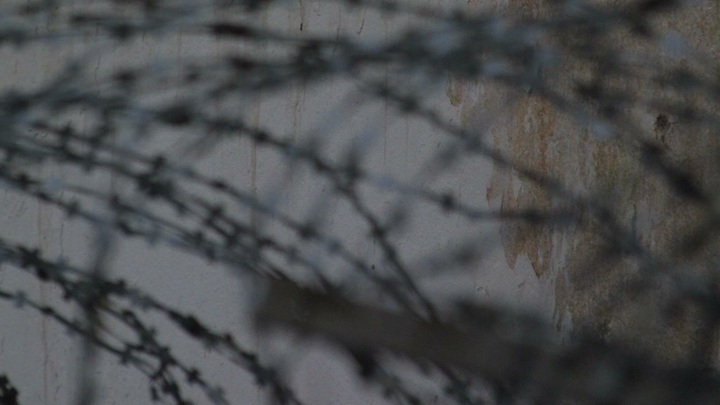 Защитник русских из Казахстана просит помощи у России: Здесь для себя я не вижу защиты