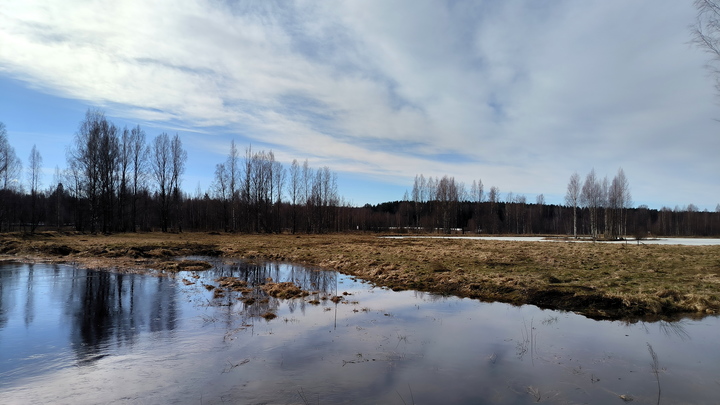 Пропавшую полгода назад беременную женщину нашли в водохранилище на Урале