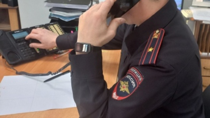 В Самаре мать-одиночку полиция поймала на жестоком обращении с дочерью-подростком