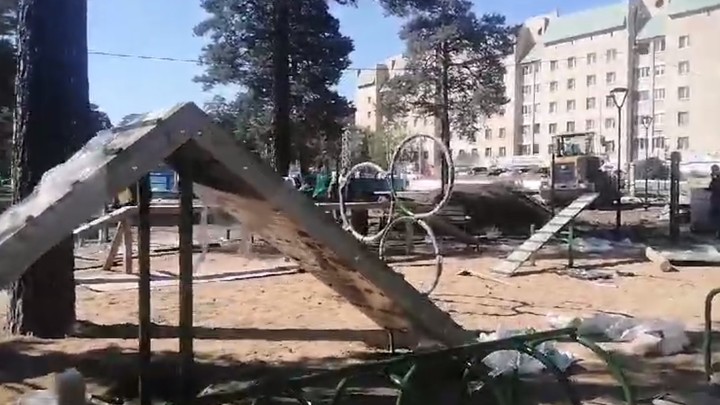 В парке Антипихи появится единственная зона для выгула собак